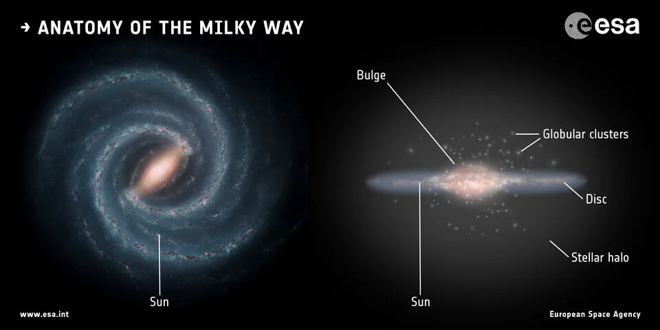 Anatomy of the Milky Way Galaxy