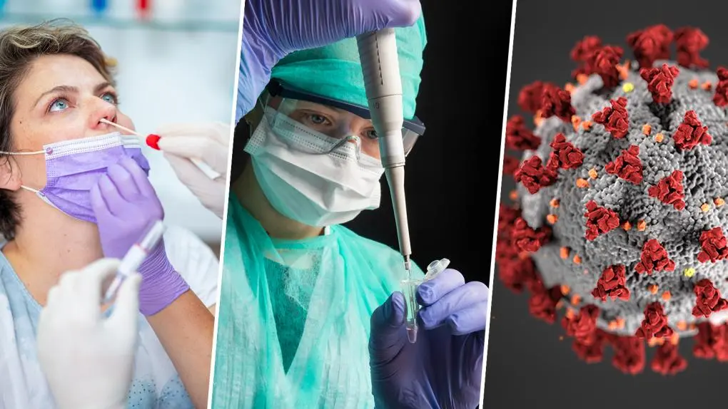 COVID-19-flirt-symptoms-and-cases-in-india COVID-19 FLiRT Variant Symptoms and cases in India