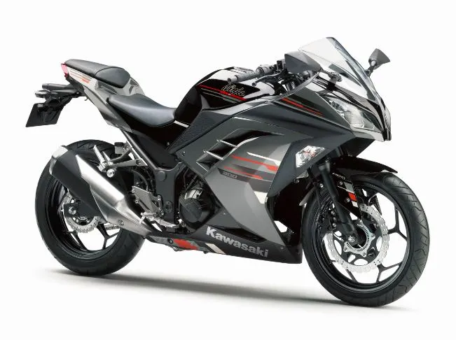 kawasaki-ninja-300-Moon-Dust-Grey Kawasaki Ninja 300 Metallic Moon Dust Grey