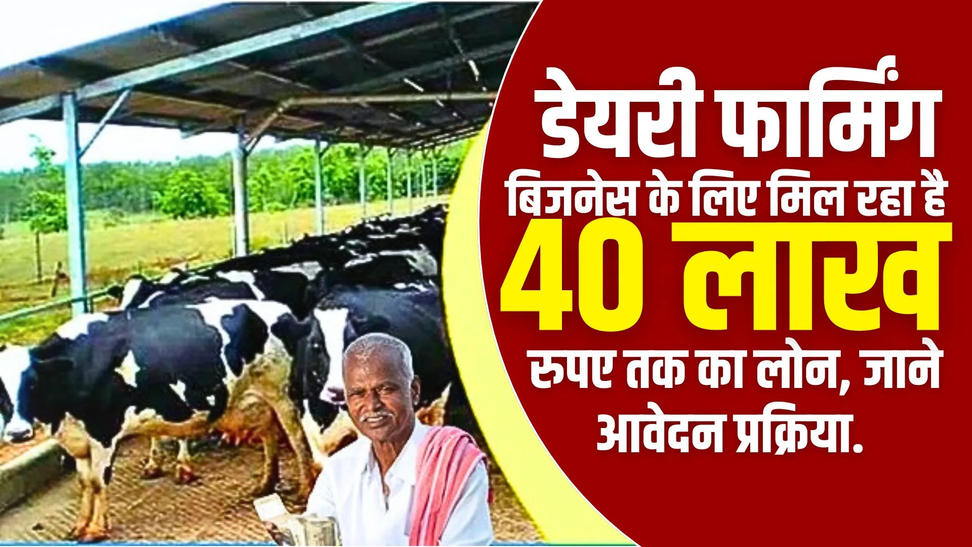 Dairy Farming Loan Scheme